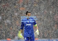 足彩网首页|安东尼奥的足球传奇，少年西甲首秀与西乙单场六球辉煌