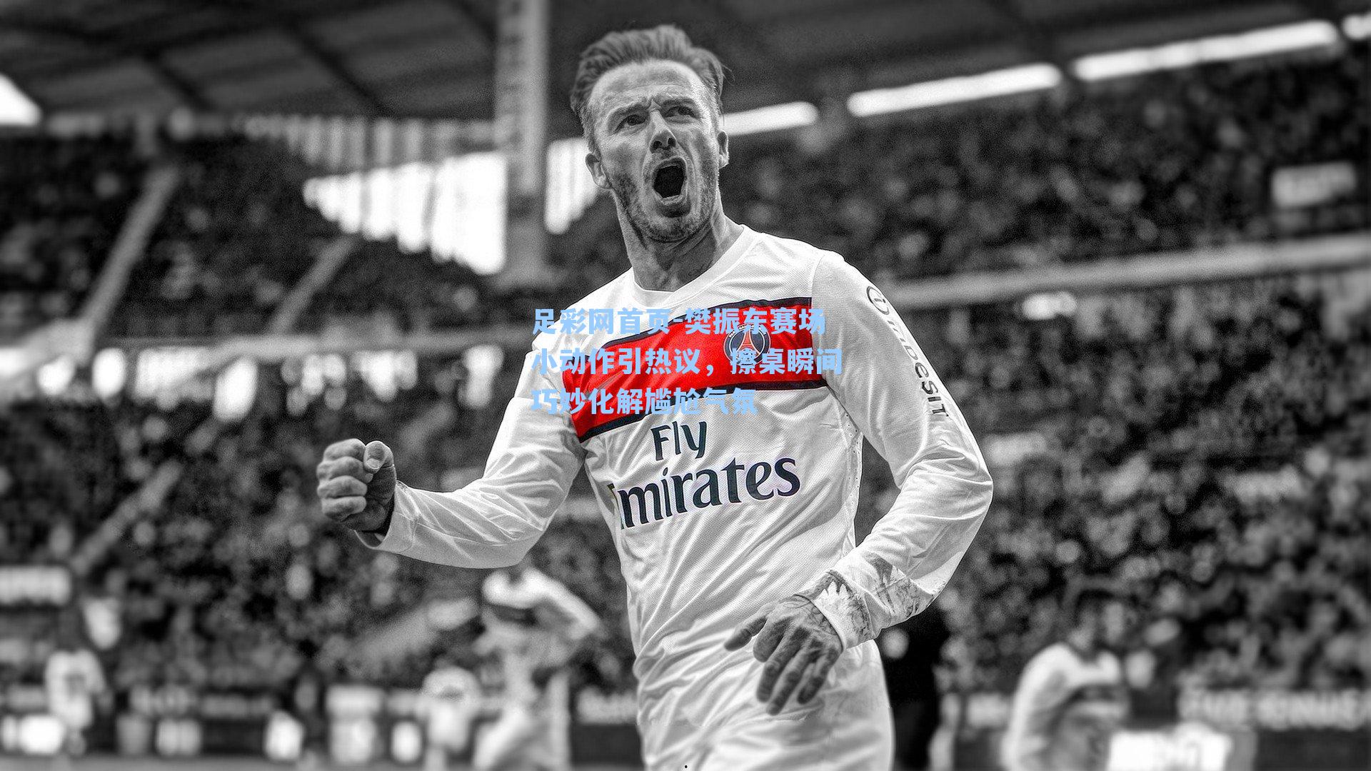 樊振东赛场小动作引热议，擦桌瞬间巧妙化解尴尬气氛