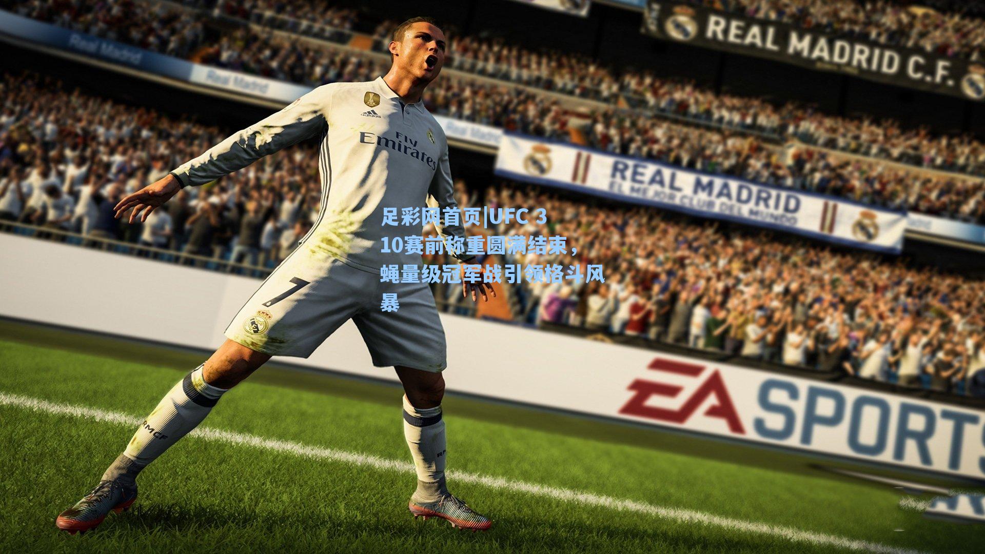 UFC 310赛前称重圆满结束，蝇量级冠军战引领格斗风暴