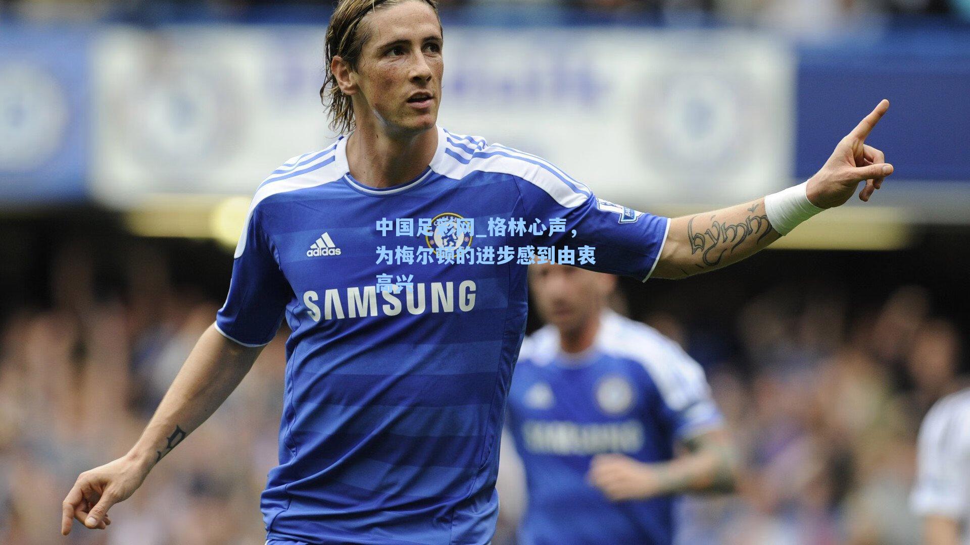 格林心声，为梅尔顿的进步感到由衷高兴